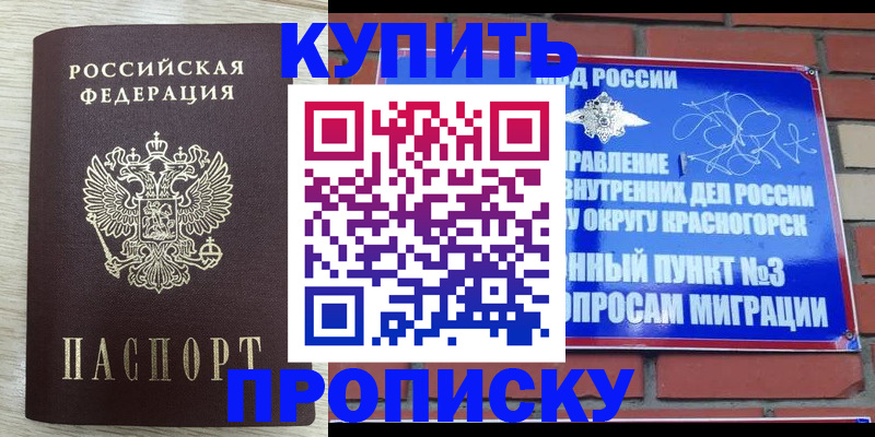 прописка гарантия в Волжске
